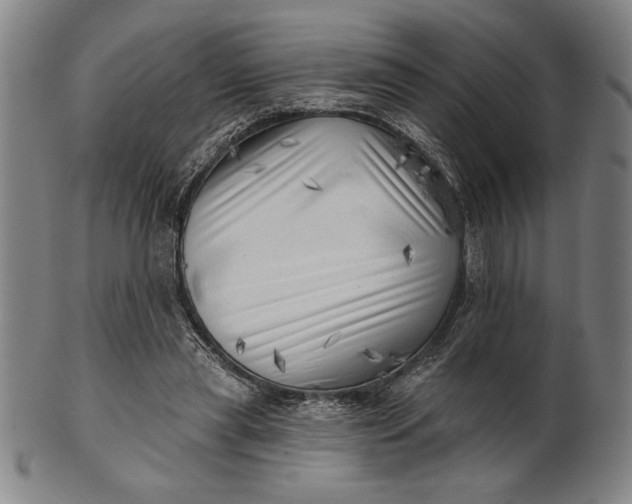 X0000101470445200807211340