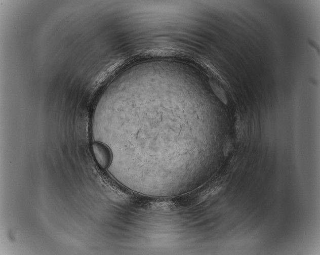 X0000101470446200807211340