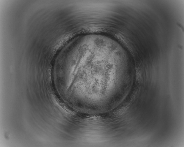 X0000101470447200807211340