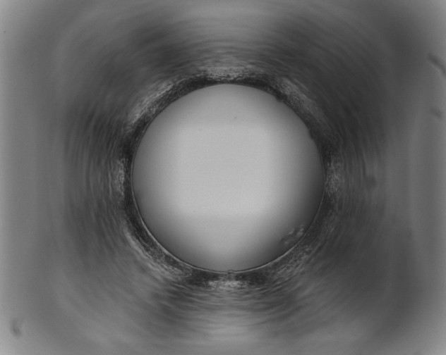 X0000101470448200807211340