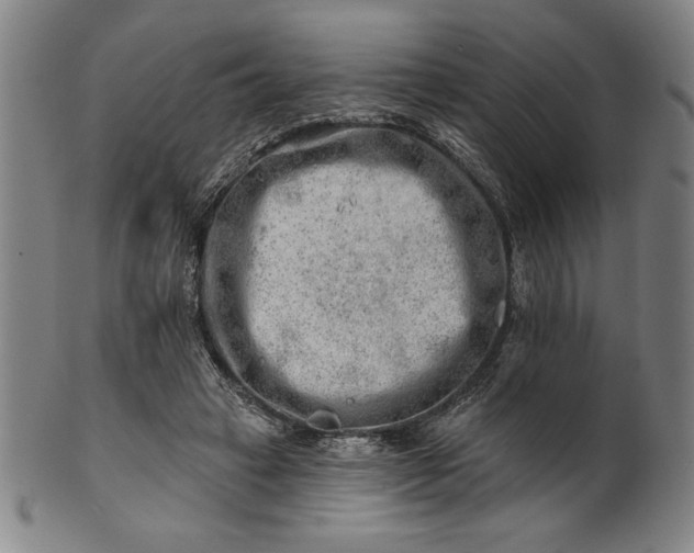 X0000101470449200807211340