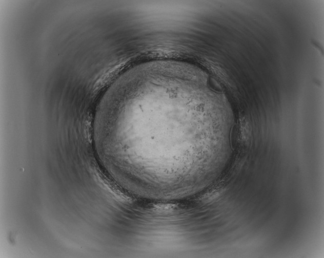 X0000101470450200807211340