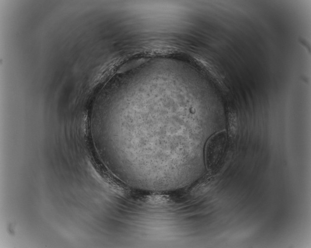 X0000101470451200807211340