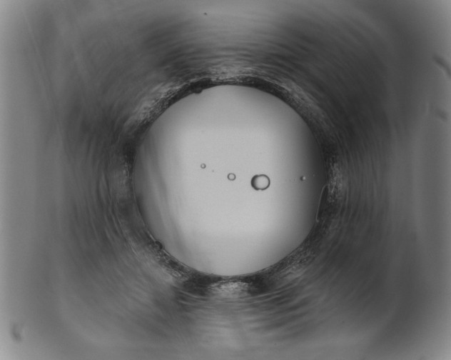 X0000101470452200807211340