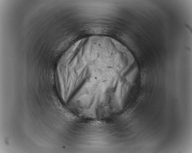 X0000101470453200807211340