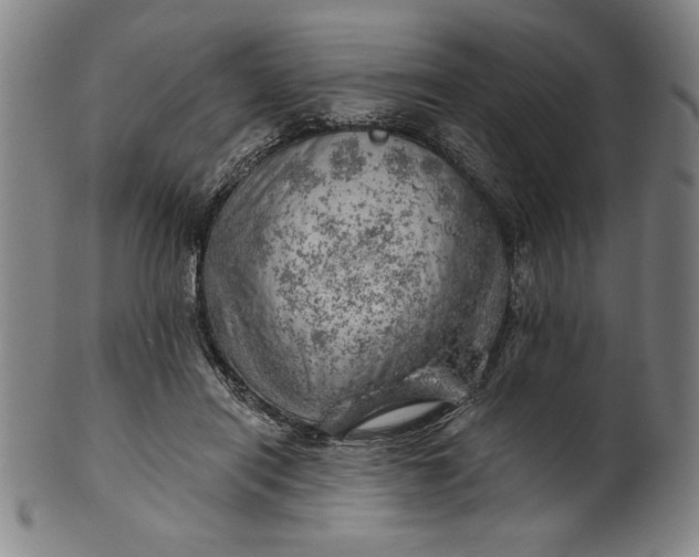 X0000101470454200807211340