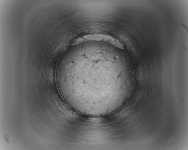 X0000101470457200807211340