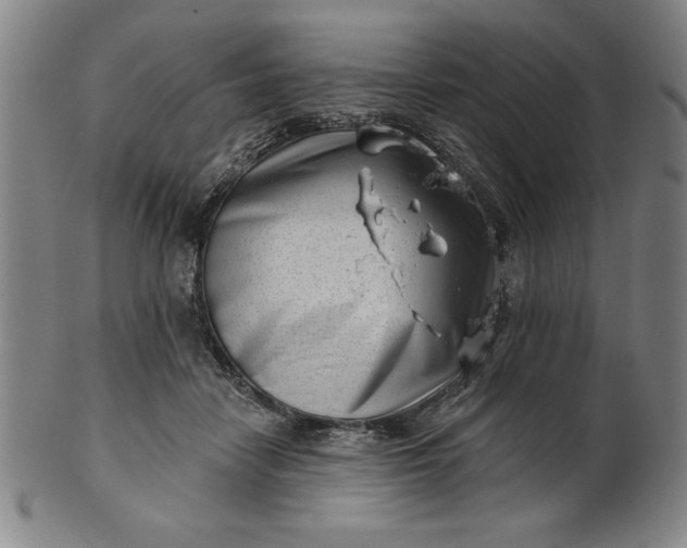 X0000101470458200807211340