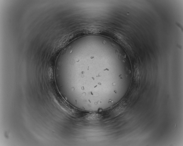 X0000101470459200807211340