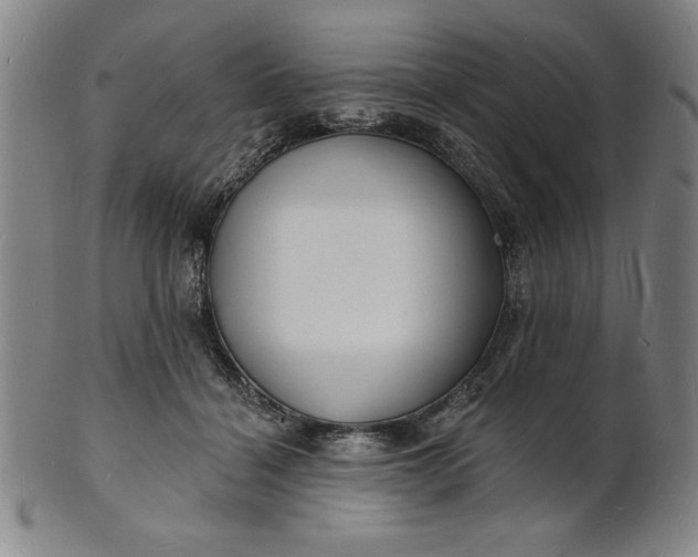 X0000101470460200807211340