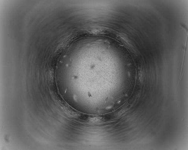 X0000101470461200807211340