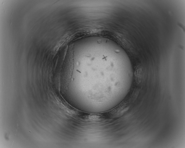 X0000101470462200807211340