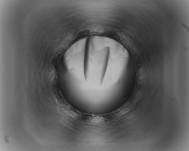 X0000101470463200807211340