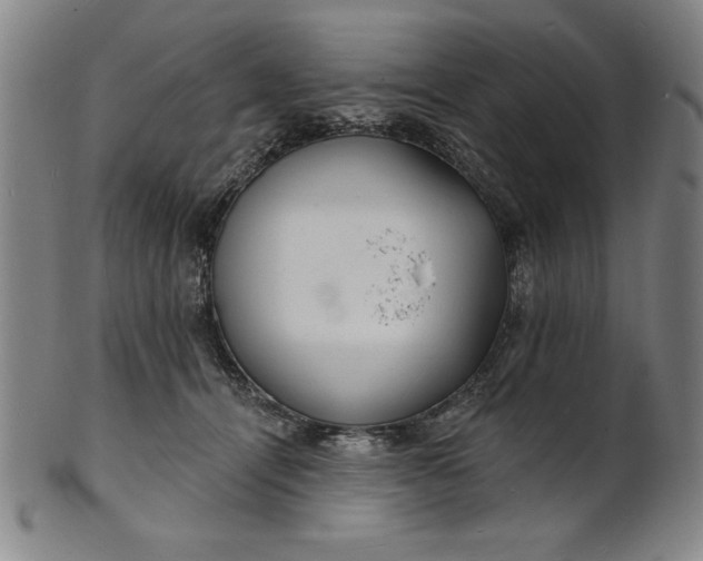 X0000101470464200807211340