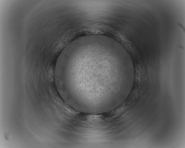 X0000101470465200807211340