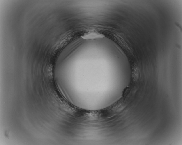 X0000101470466200807211340