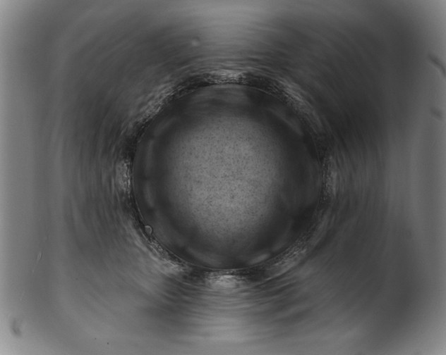 X0000101470467200807211340