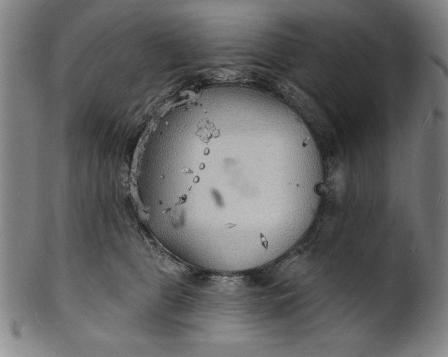 X0000101470469200807211340