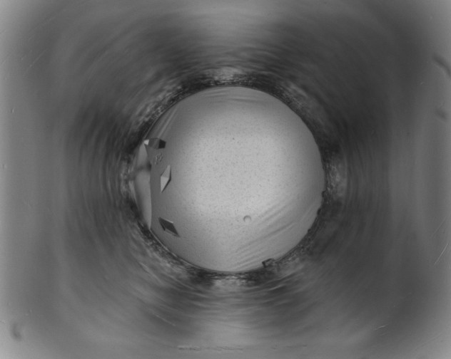 X0000101470470200807211340