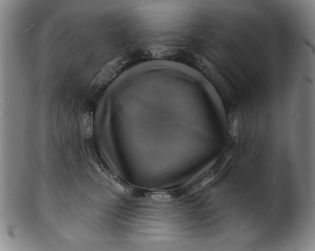 X0000101470471200807211340