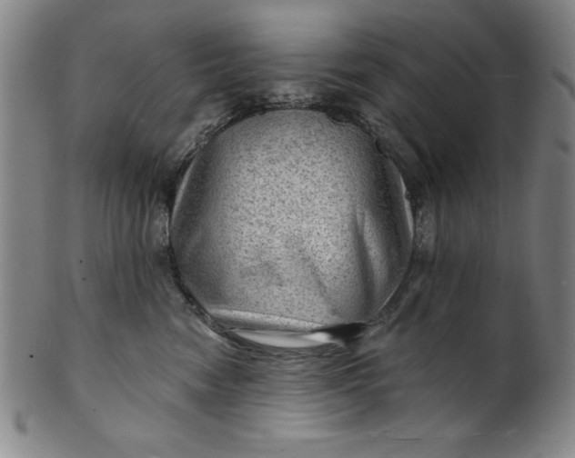 X0000101470474200807211340