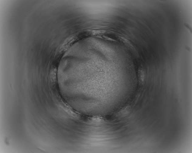 X0000101470475200807211340