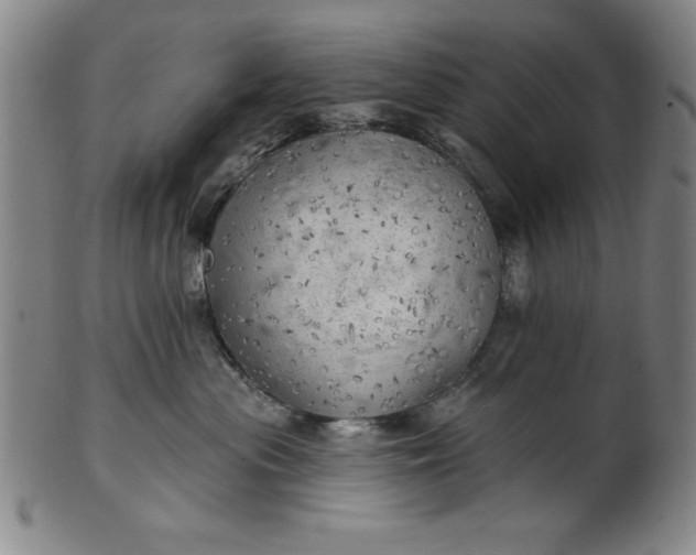 X0000101470477200807211340