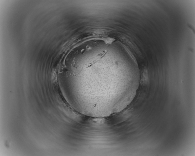 X0000101470478200807211340