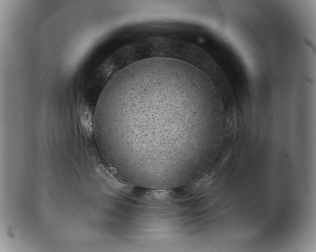 X0000101470479200807211340