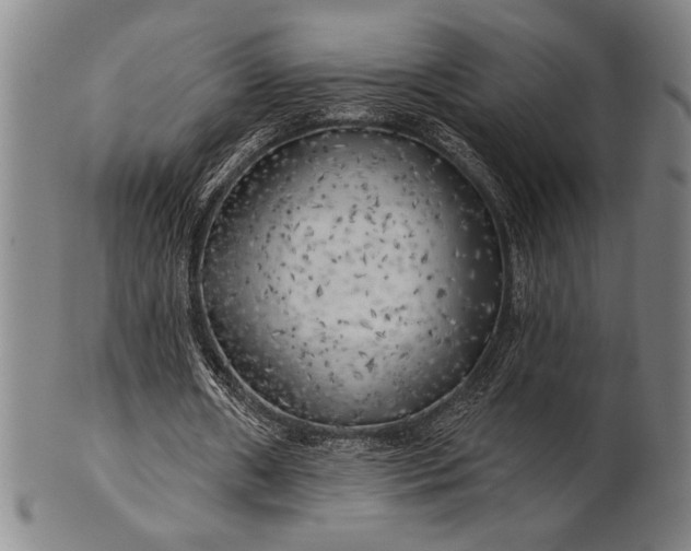 X0000101470482200807211340