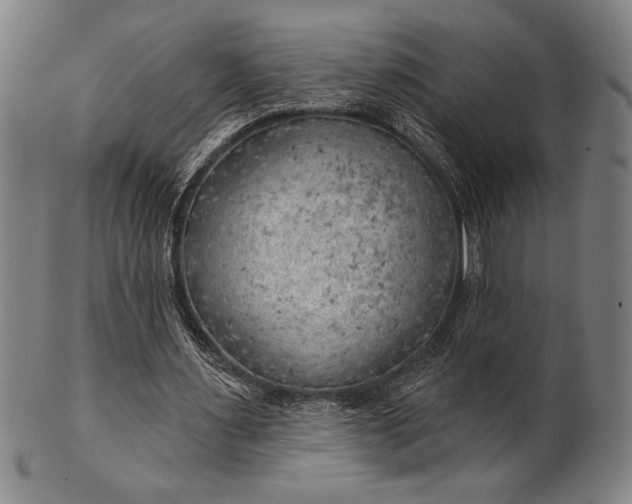 X0000101470483200807211340