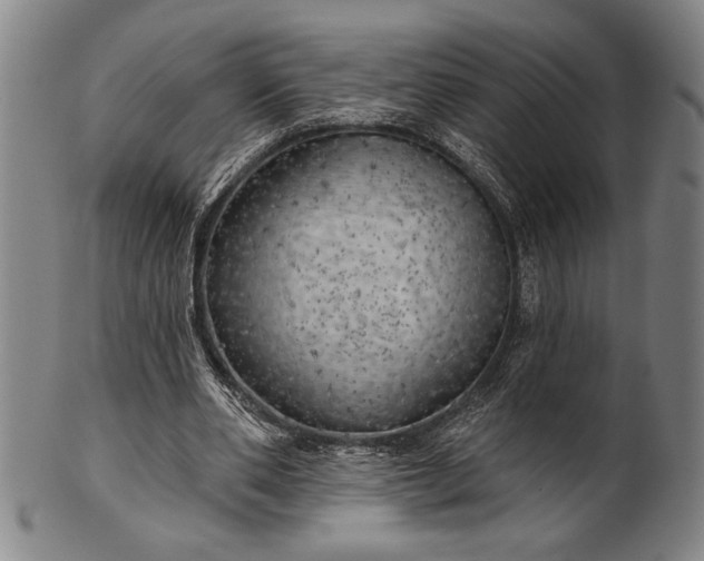 X0000101470486200807211340