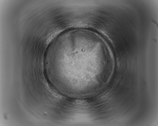 X0000101470487200807211340