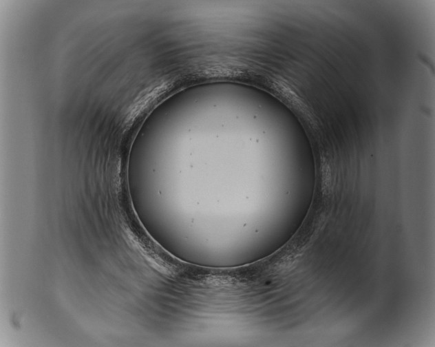 X0000101470490200807211340