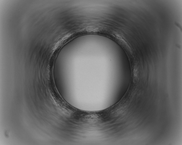 X0000101470492200807211340