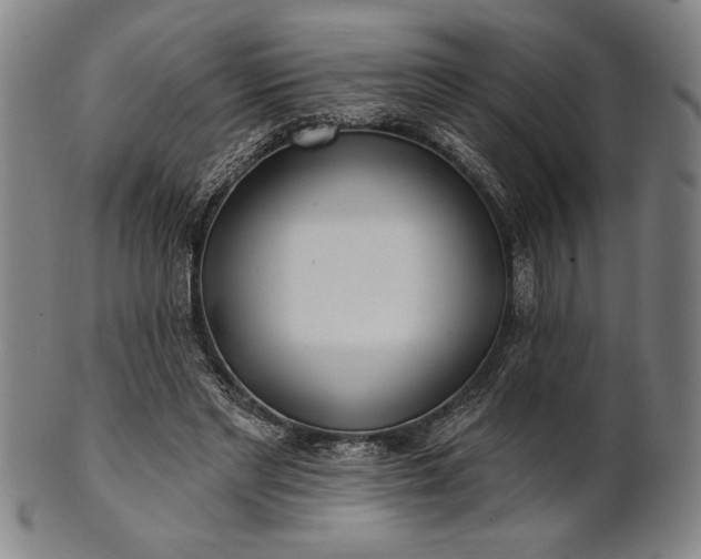 X0000101470493200807211340