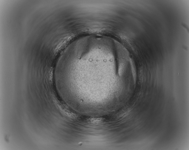 X0000101470495200807211340