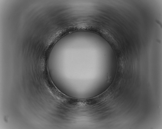 X0000101470496200807211340