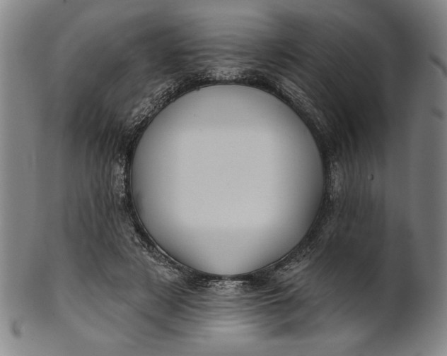 X0000101470497200807211340