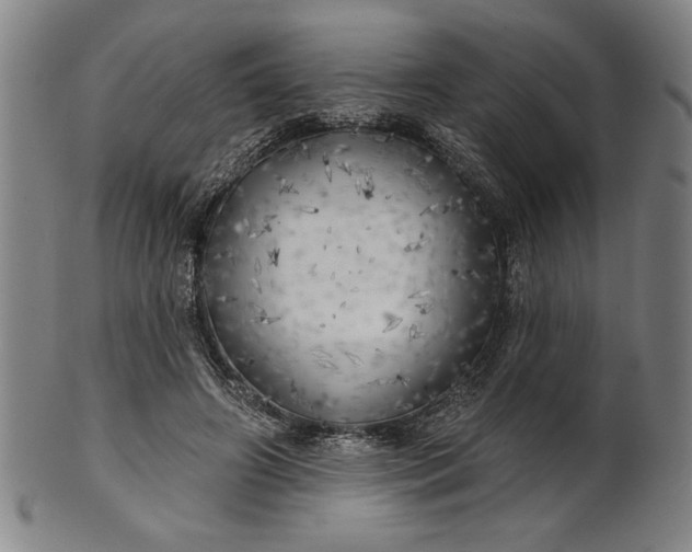 X0000101470498200807211340