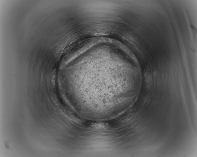 X0000101470499200807211339