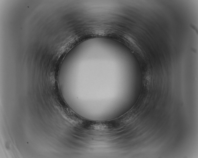 X0000101470500200807211339