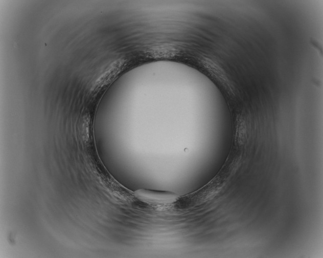 X0000101470501200807211339