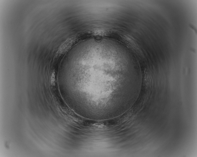 X0000101470502200807211339