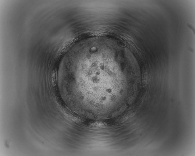 X0000101470503200807211339