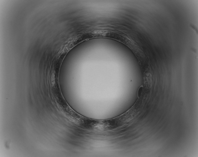 X0000101470504200807211339