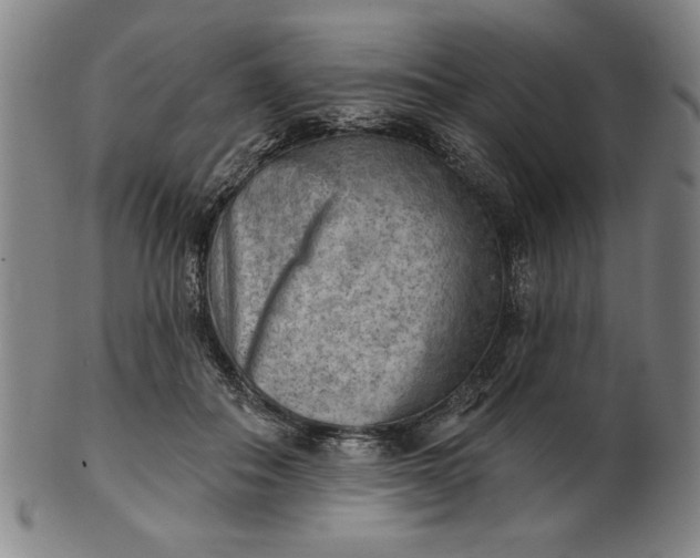 X0000101470506200807211339