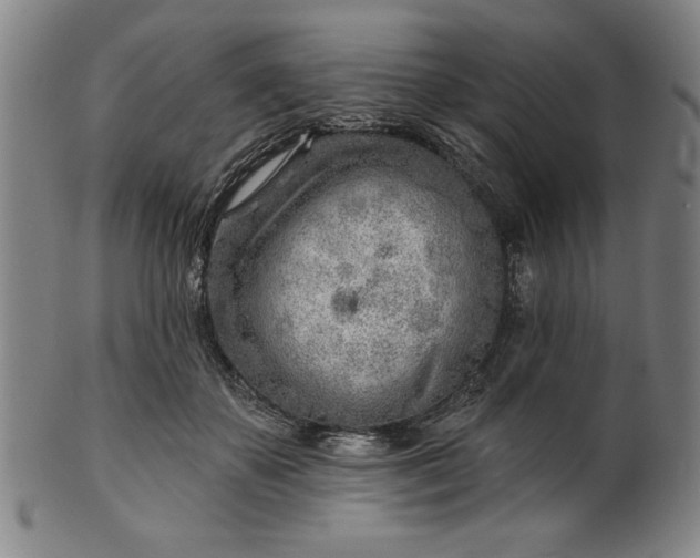 X0000101470507200807211339