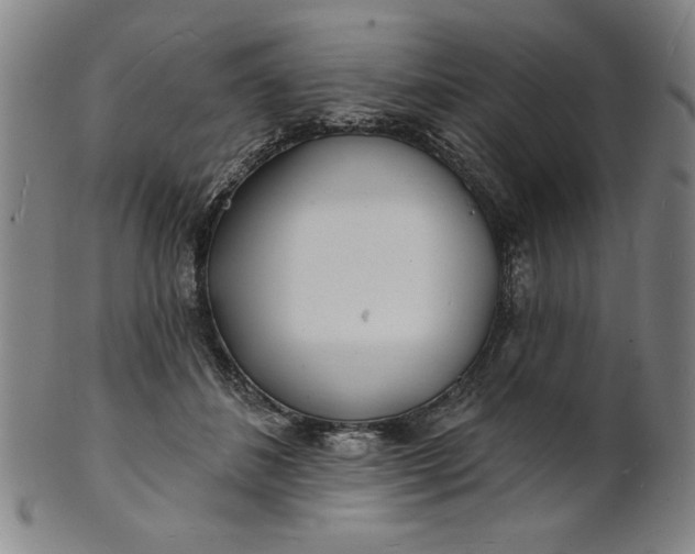 X0000101470508200807211339