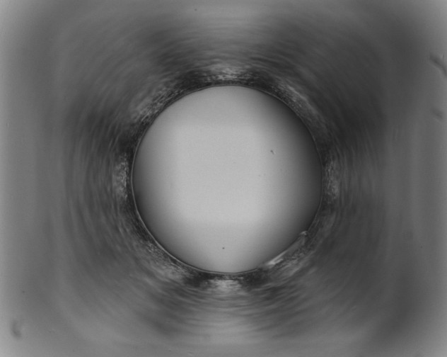 X0000101470509200807211339